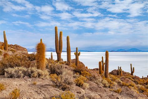 uyuna|Uyuni